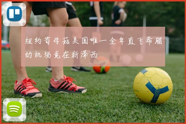 纽约寄母菇美国唯一全年直飞希腊的机场竟在新泽西