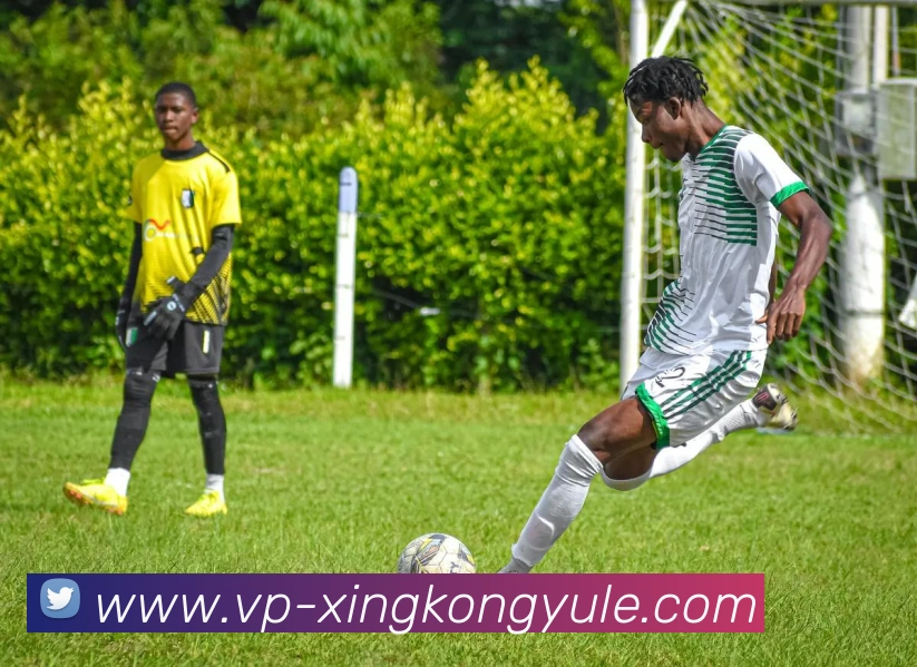 App Interface Preview